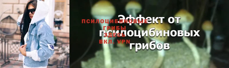 сайты даркнета состав  Волчанск  Галлюциногенные грибы MAGIC MUSHROOMS  где купить  